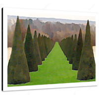 Topiary Trees 16 x 12" (40.5 X 30.5cm) Canvas Print