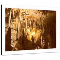 Mammoth Cave 16 x 12" (40.5 X 30.5cm) Canvas Print