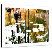 Pond Relections 16 x 12" (40.5 X 30.5cm) Canvas Print