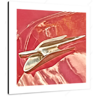 Hood Ornament III 12 X 12" (30.5 X 30.5cm) Canvas Print