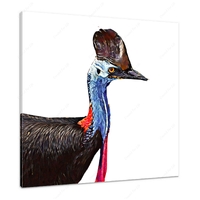 Cassowary 12 X 12" (30.5 X 30.5cm) Canvas Print