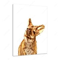 Curious Wallaby 12 X 12" (30.5 X 30.5cm) Canvas Print