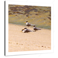 Lapwings I 12 X 12" (30.5 X 30.5cm) Canvas Print