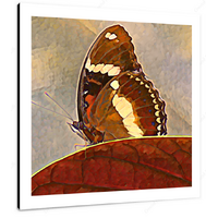 Orchard Butterfly 12 X 12" (30.5 X 30.5cm) Canvas Print