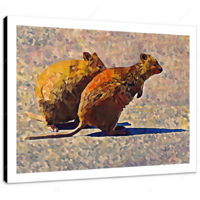 Quokkas 12 X 12" (30.5 X 30.5cm) Canvas Print