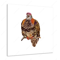 Rainforest Dove 12 X 12" (30.5 X 30.5cm) Canvas Print