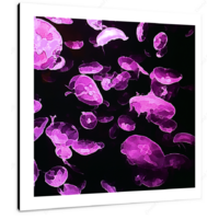 Purple Smack 12 X 12" (30.5 X 30.5cm) Canvas Print