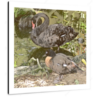 Duck & Swan 12 X 12" (30.5 X 30.5cm) Canvas Print