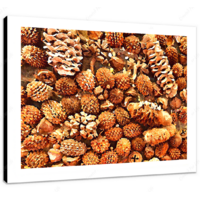 Forest Floor 16 x 12" (40.5 X 30.5cm) Canvas Print