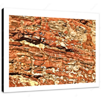 Rock Face I 16 x 12" (40.5 X 30.5cm) Canvas Print