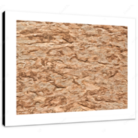 Rock Shelf IV 16 x 12" (40.5 X 30.5cm) Canvas Print