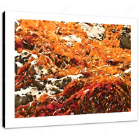 Kelp III 16 x 12" (40.5 X 30.5cm) Canvas Print