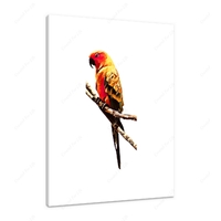 Golden Parrot 12 x 16" (30.5 X 40.5cm) Canvas Print