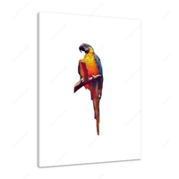 Macaw