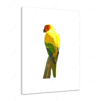 Red Faced Parrot