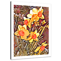 Daffodils 12 x 16" (30.5 X 40.5cm) Canvas Print